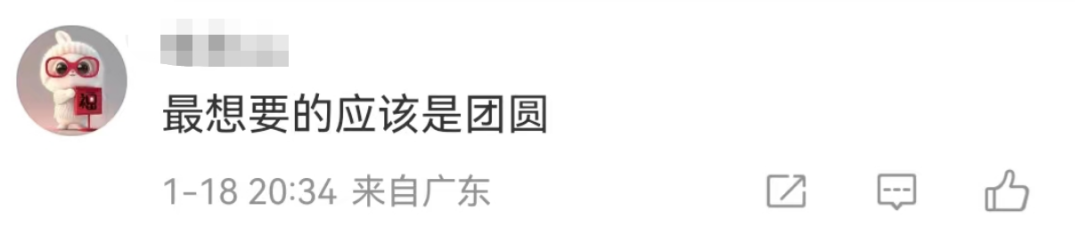 什么才是真正的年货，不回家永远没有对的答案