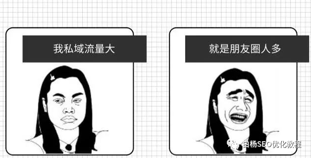 白杨SEO:SEO转型系列之十二,SEO如何转行私域流量运营?