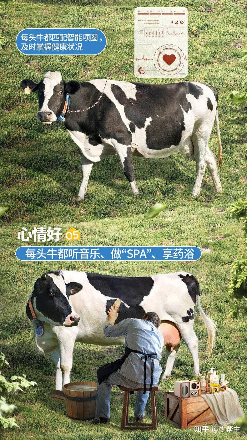 案例拆解|1600万会员认养6万头奶牛，它是如何做到的？