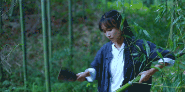 640 (26).gif