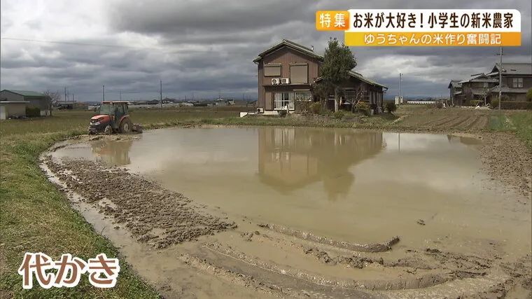 日本9岁小学生暑假租600㎡地，学会了种田，实现吃米饭自由！网友：动手能力比我强1000倍！