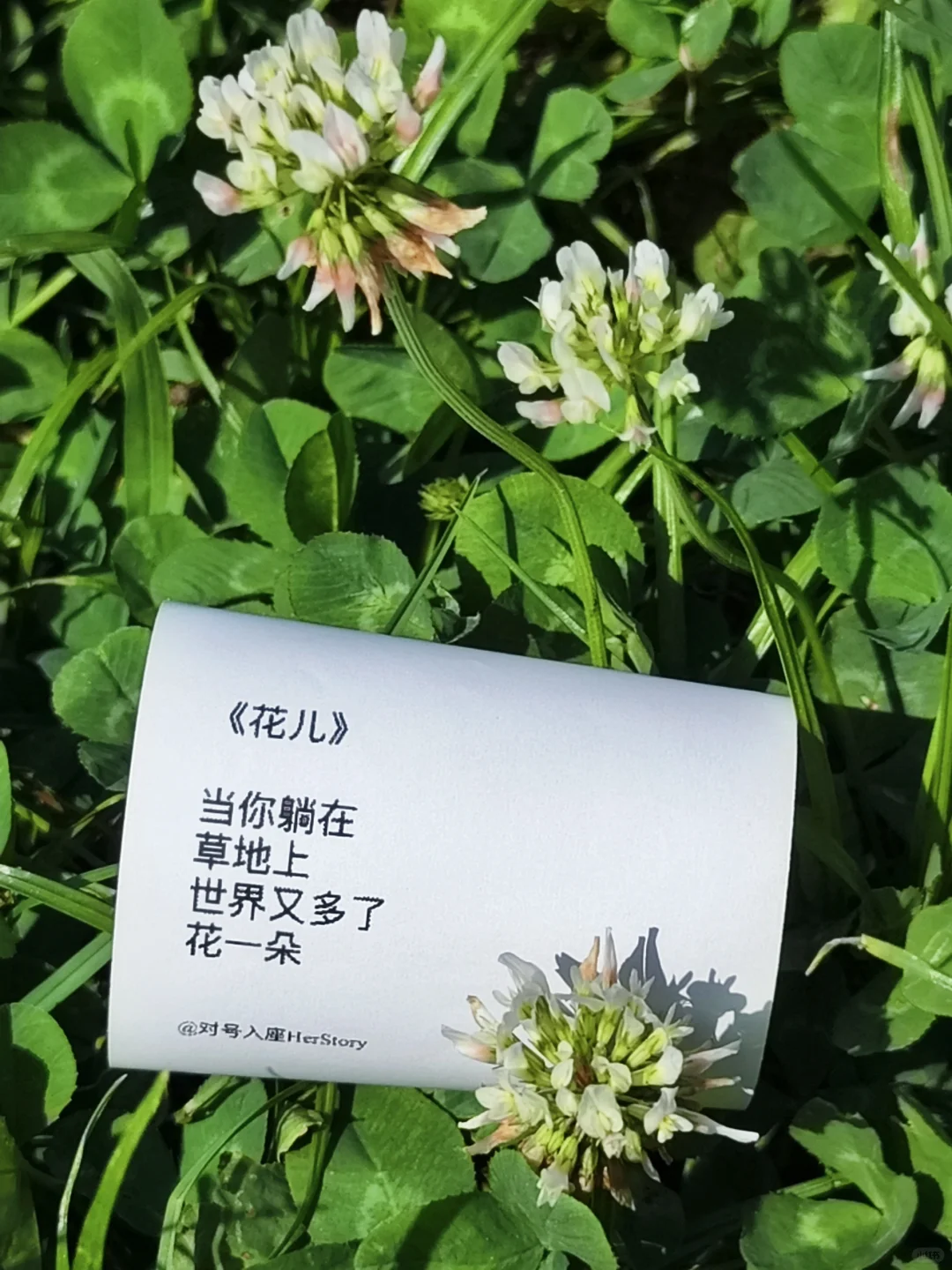 三套文案,十分好看
