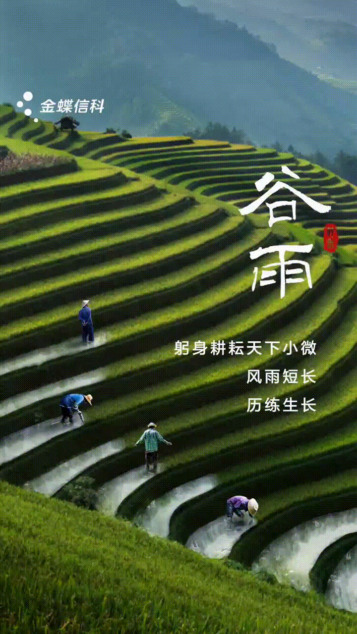 我扒皮了金蝶信科全年的海报，终于知道了他们的设计套路&hellip;&hellip;