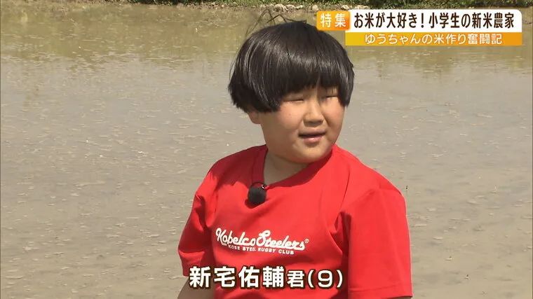 日本9岁小学生暑假租600㎡地，学会了种田，实现吃米饭自由！网友：动手能力比我强1000倍！