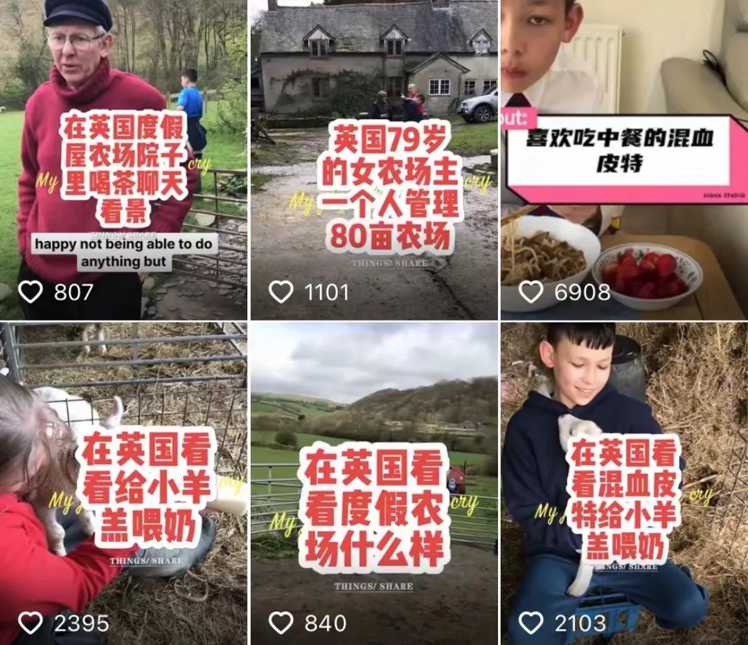 6亿人次围观英国老头的干巴lunch,白人饭究竟有什么魔力?