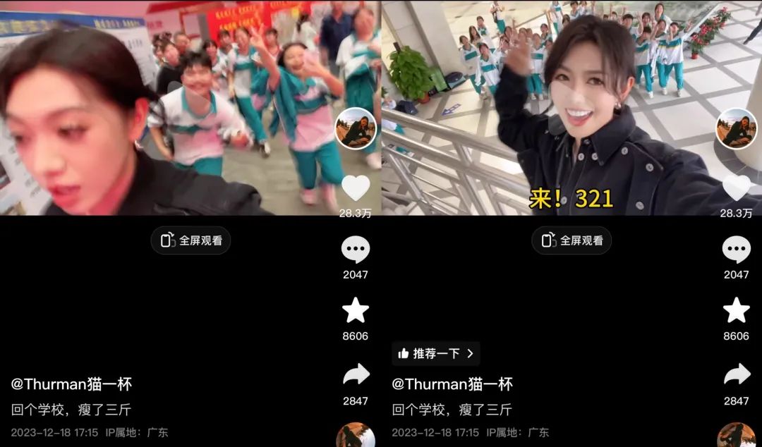 全网粉丝超4000万,“猫一杯”的互联网唠嗑记 | 新榜专访
