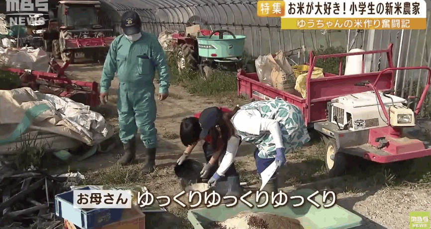 日本9岁小学生暑假租600㎡地，学会了种田，实现吃米饭自由！网友：动手能力比我强1000倍！