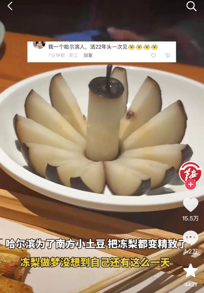 背刺东北的尔滨，第二个&ldquo;淄博&rdquo;？
