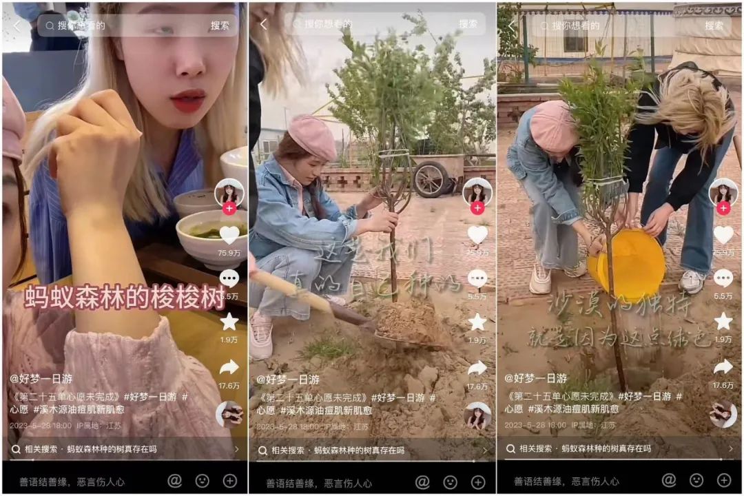和100个陌生人做100件事，&ldquo;开盲盒&rdquo;开出238万粉丝