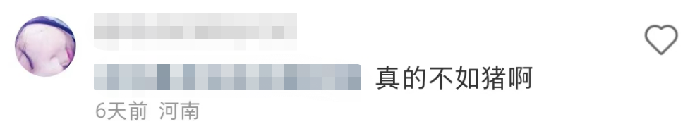 盒马的猪,把刘畊宏女孩卷疯了!