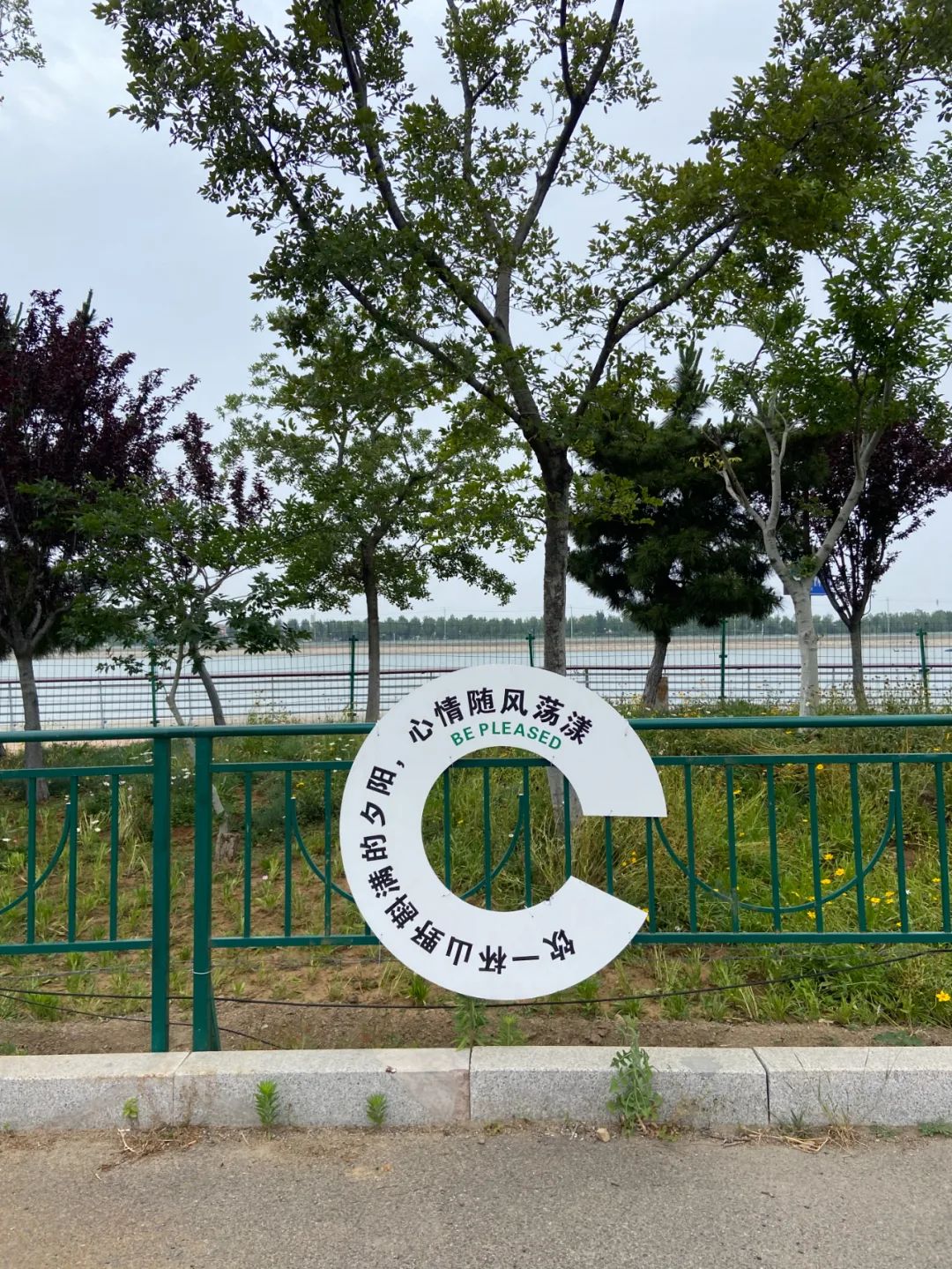最近收藏的20句文案