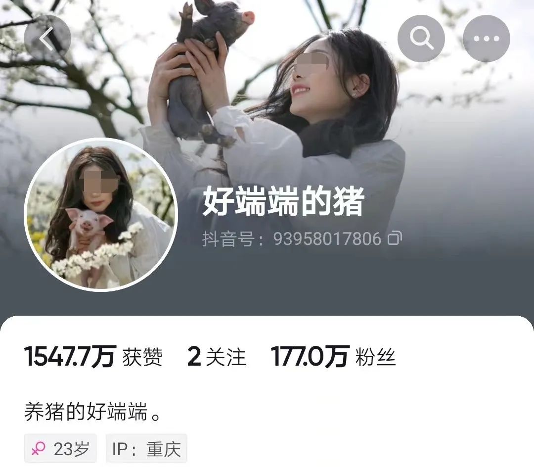 播放量破亿,网红“噶猪少女”才是抖音新顶流!