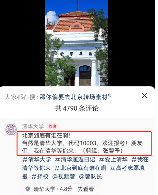 刘亦菲一觉醒来天塌了,全国文旅宣传越来越癫!
