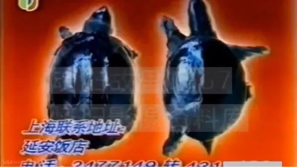 娃哈哈与农夫山泉的三次&ldquo;战争&rdquo;