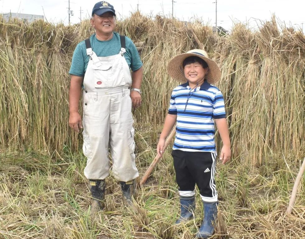 日本9岁小学生暑假租600㎡地，学会了种田，实现吃米饭自由！网友：动手能力比我强1000倍！