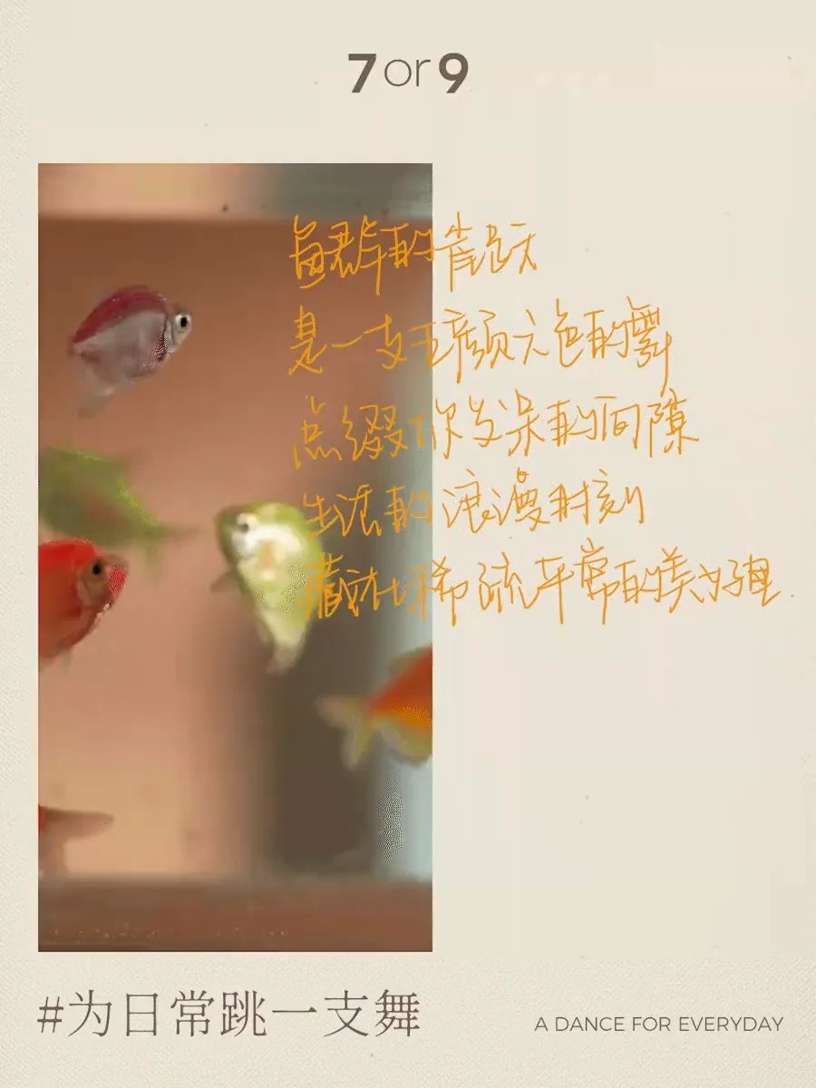 7or9 《请你跳一支舞》,被浪漫到了
