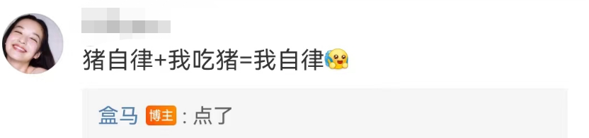 盒马的猪,把刘畊宏女孩卷疯了!