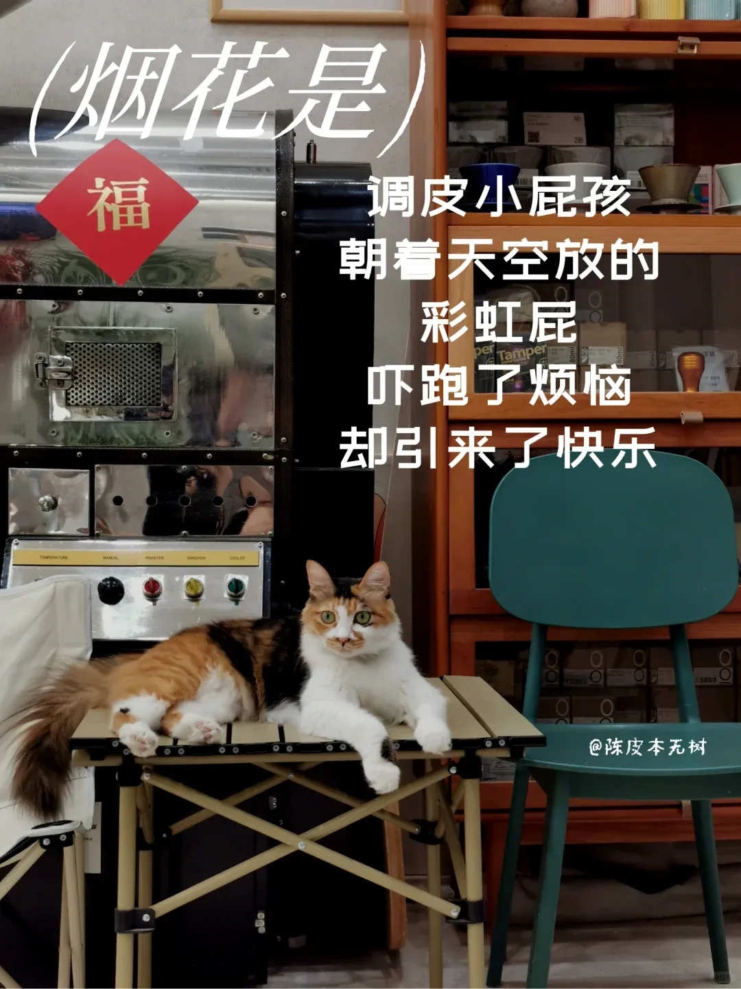 2024年,我心中最好的24句文案