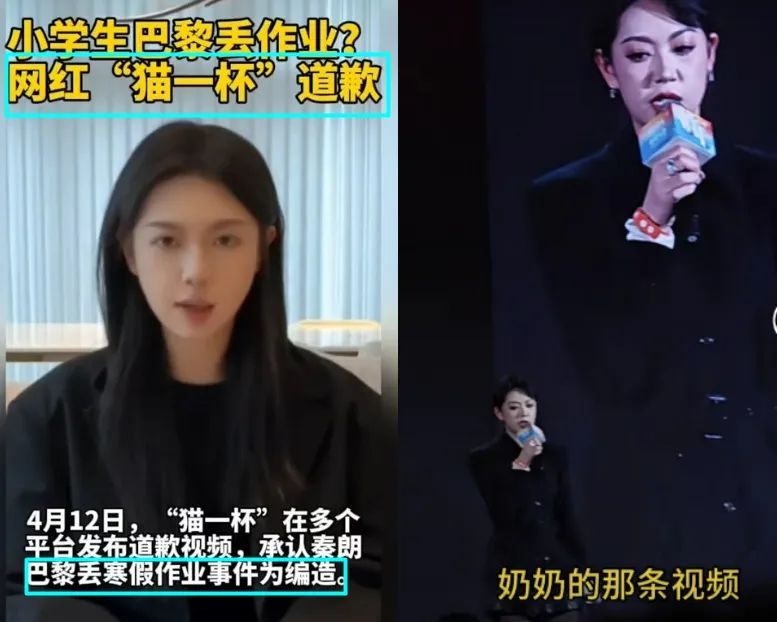 “秦朗丢作业””1条视频赚55万,网红猫一杯自吹YSL圣罗兰设计师,啃菜叶子爆红