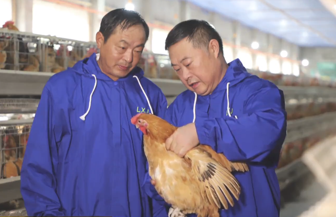 老乡鸡束从轩,对得起每一只鸡