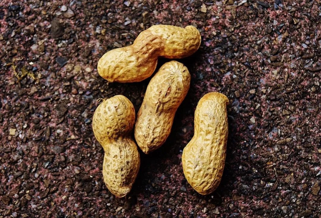 &ldquo;煤制油&rdquo;丑闻后，风刮向了家用榨油机？