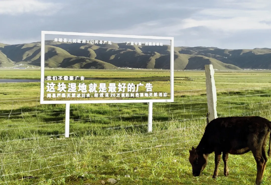 网易严选&ldquo;中国大鹅&rdquo;听劝海报，文案太有梗了