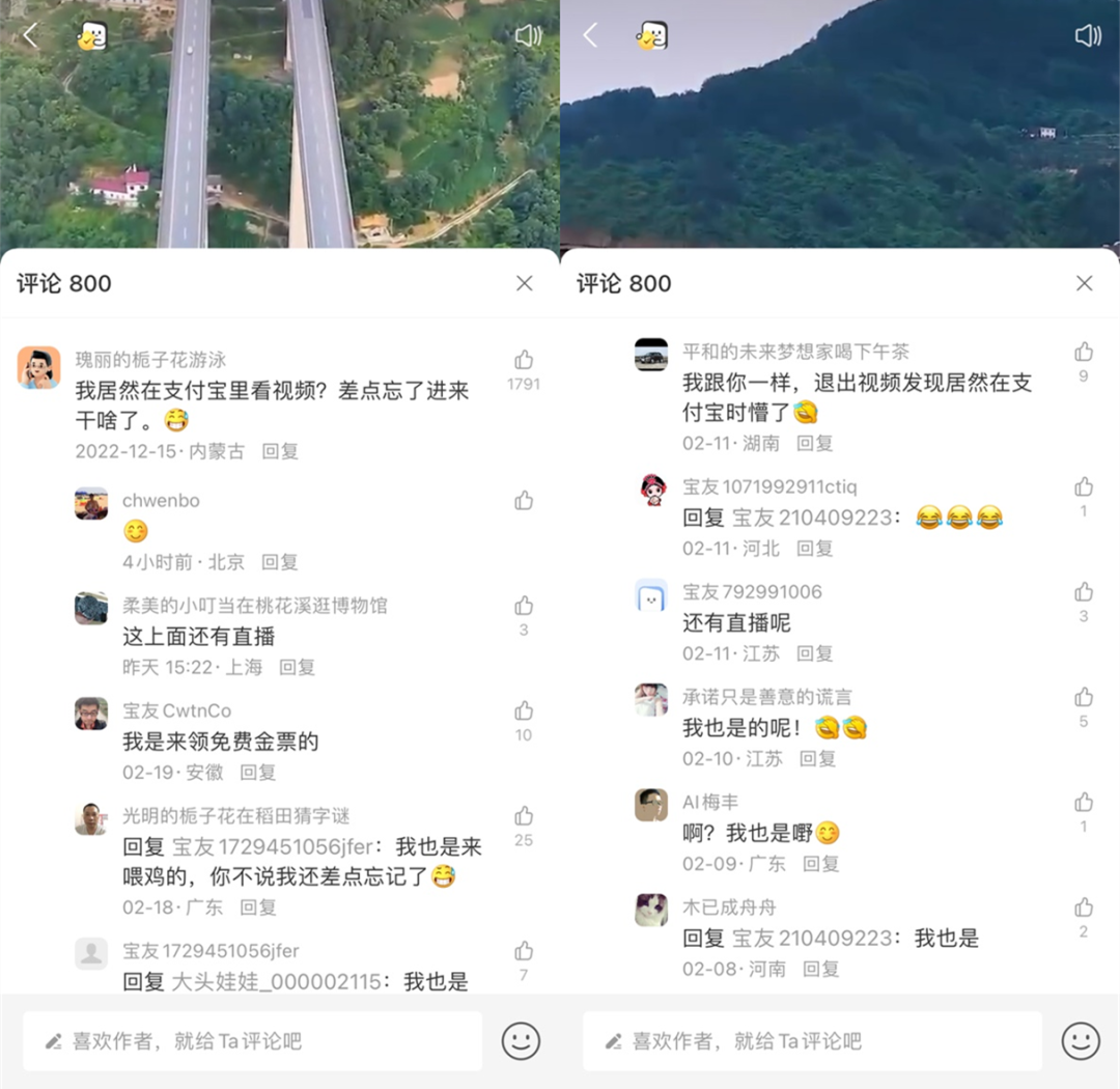 盯上视频+直播,支付宝生活号做得怎么样了?