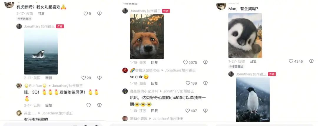 7天涨粉百万,听劝的野外摄影师“加州锤王”快把网友哄成“胚胎”了