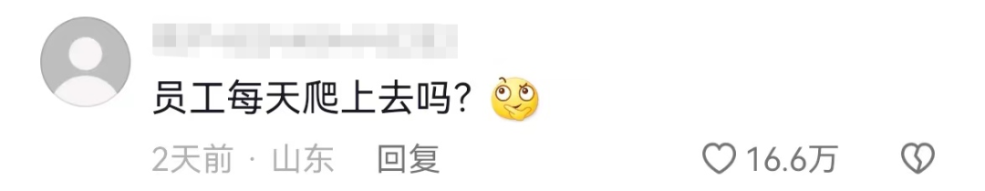 高能整活,蜜雪冰城火到了泰山!