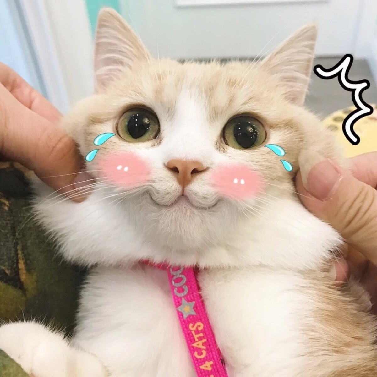 点击查看源网页 点击查看源网页