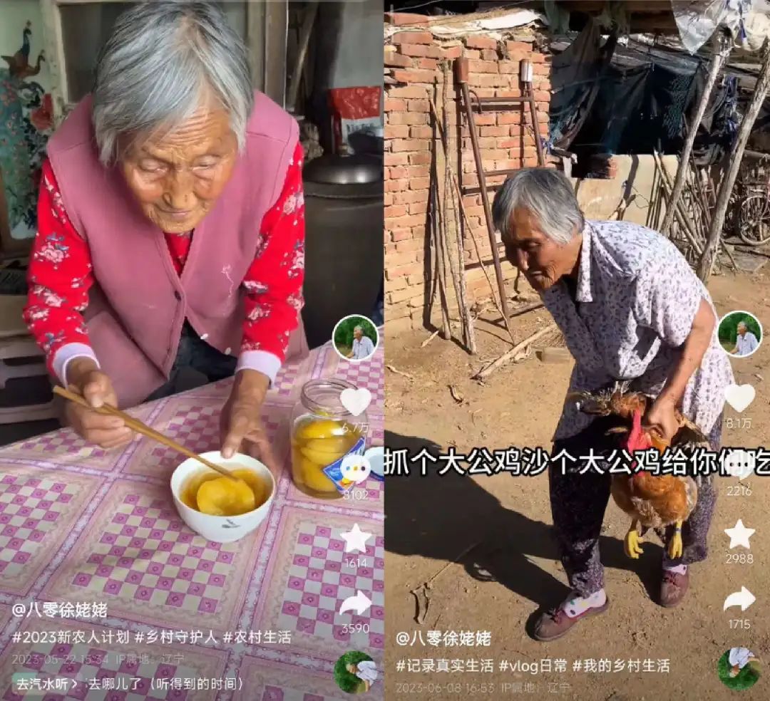 45天涨粉429万,这届年轻人爱上了东北姥姥