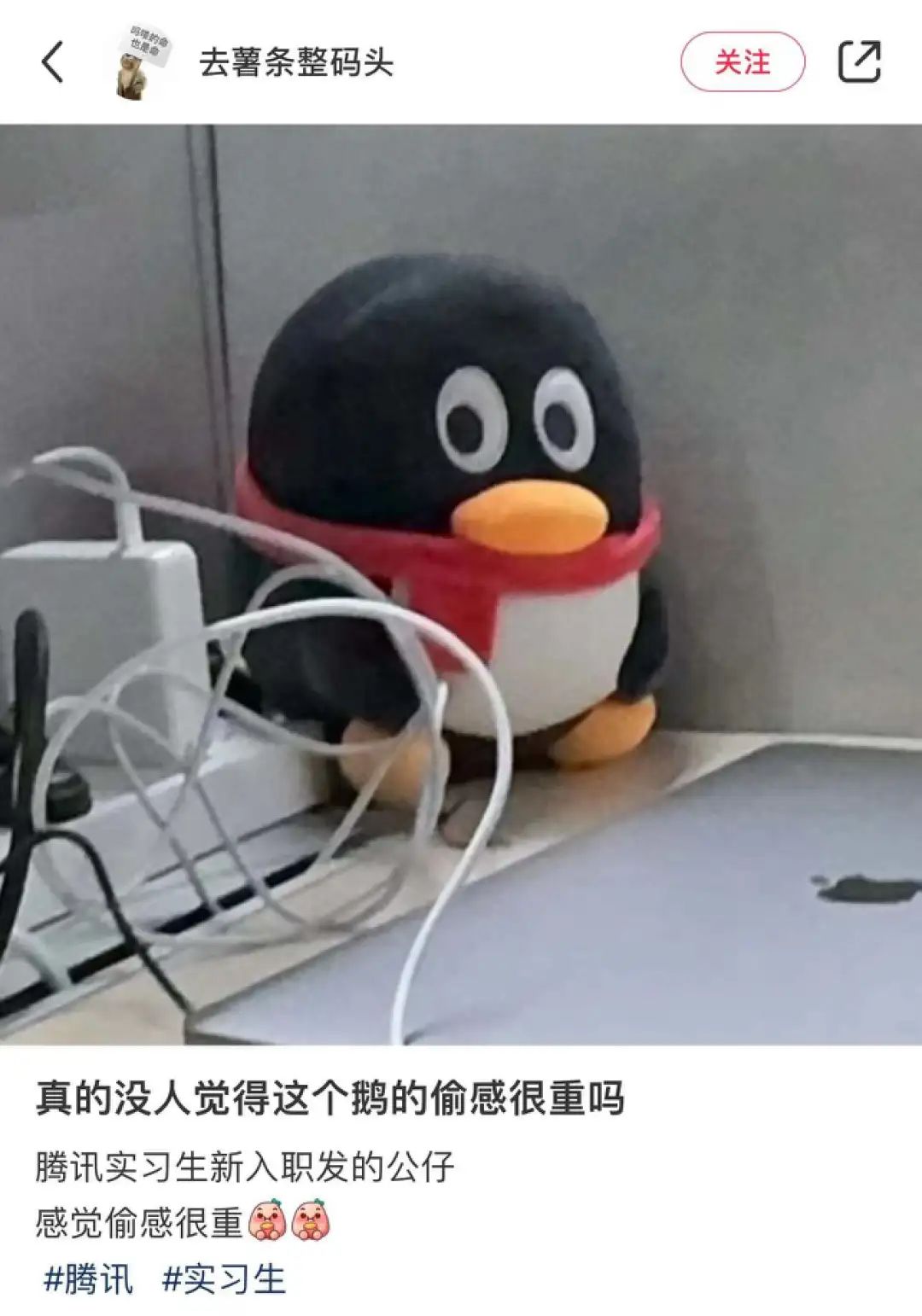 全网播放量超5亿,这届年轻人“偷感很重”