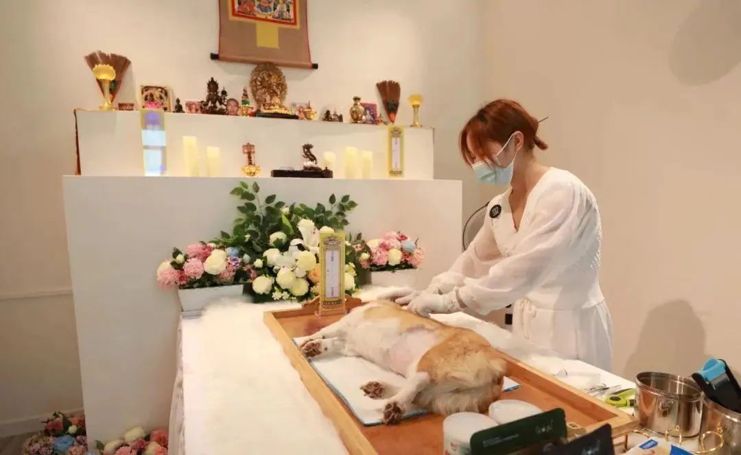 清明宠物殡葬服务火了,有人年入百万