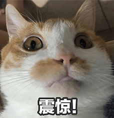 在小红书圈粉450万,lululemon们的种草新模式要火!