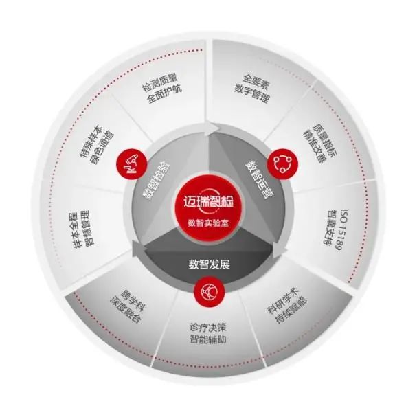迈瑞医疗发布三季报,IVD业务高速增长或刚开始