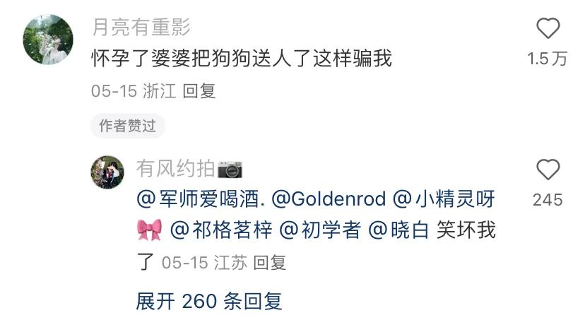小红书网感文案,句句神标题