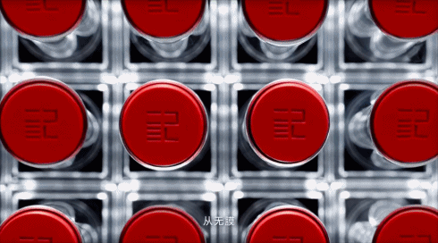 花西子，铁锅炖自己