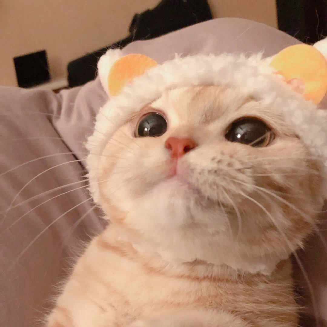 微信图片_20210426052426.jpg 微信图片_20210426052426.jpg