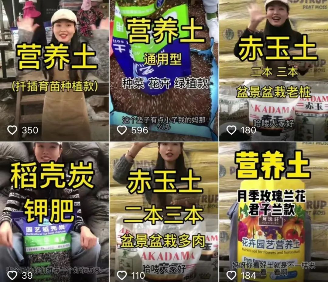 我在抖音卖牛粪,年入百万