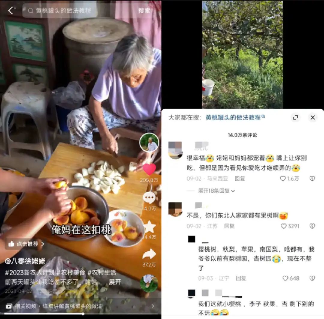 45天涨粉429万,这届年轻人爱上了东北姥姥