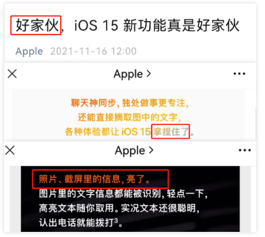 苹果文案被骂!网友:杜蕾斯派来的