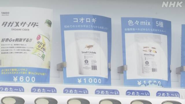 肉肉革命大爆发:从肉丸肉肠到薯片面条,肉制品的终极形态是什么?