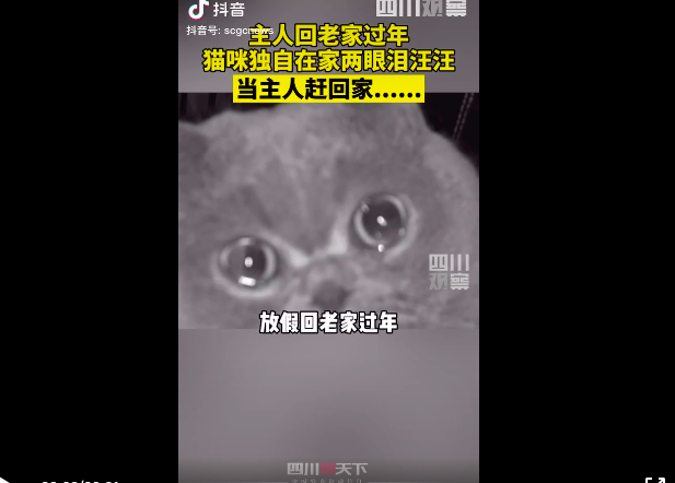 屏幕快照 2021-02-20 上午10.13.14.png 屏幕快照 2021-02-20 上午10.13.14.png