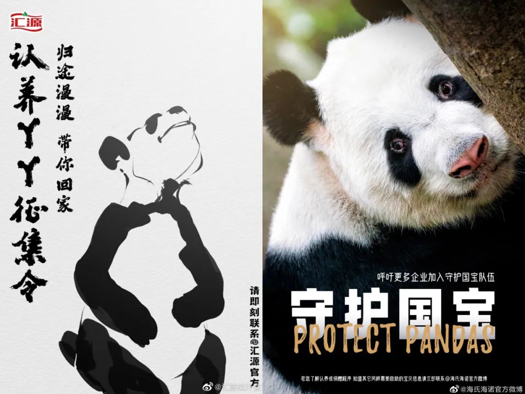 全网心疼的&ldquo;丫丫&rdquo;，遭国货疯抢？