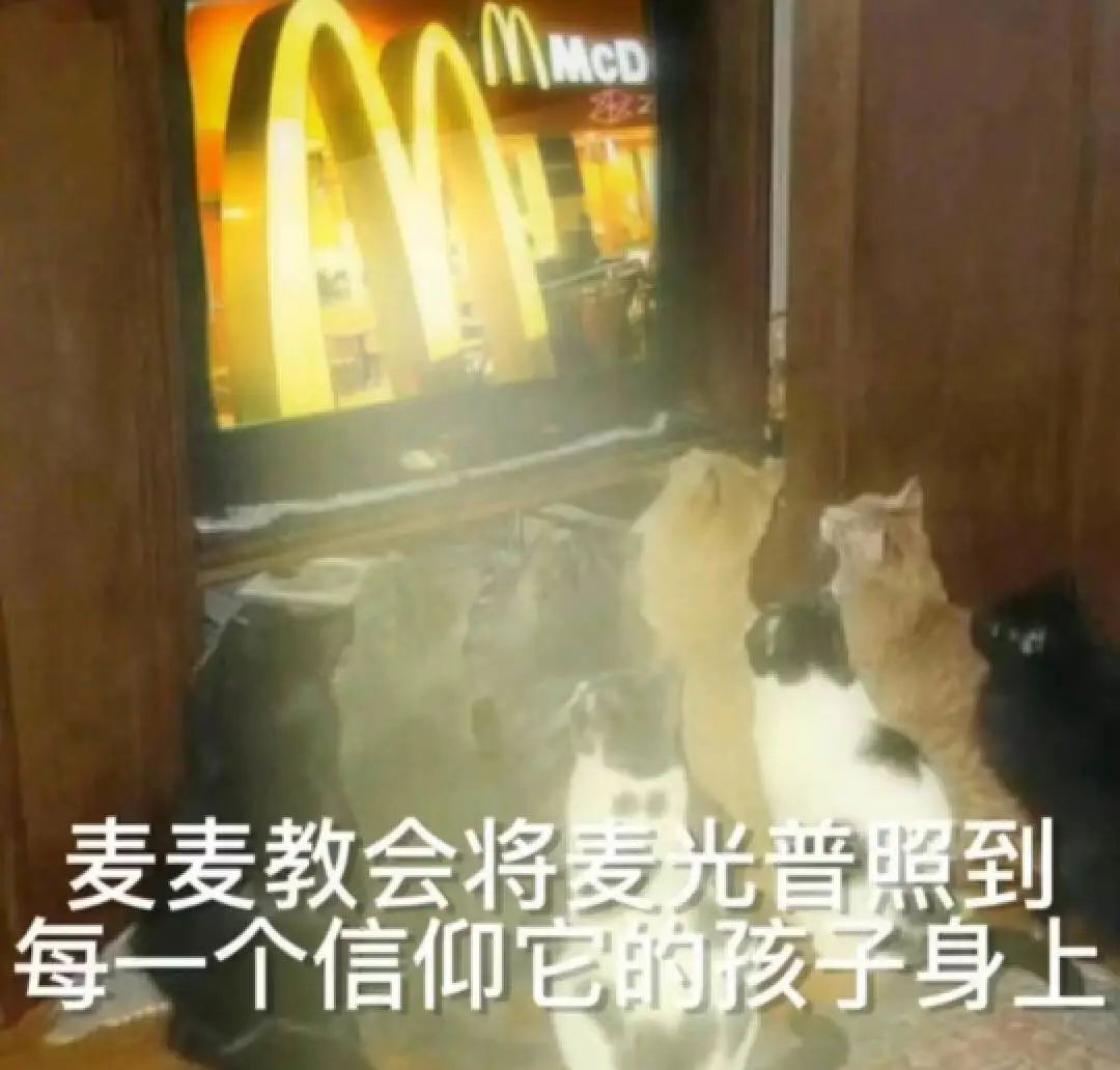 顶流麦当劳,广告根本不怕糊!