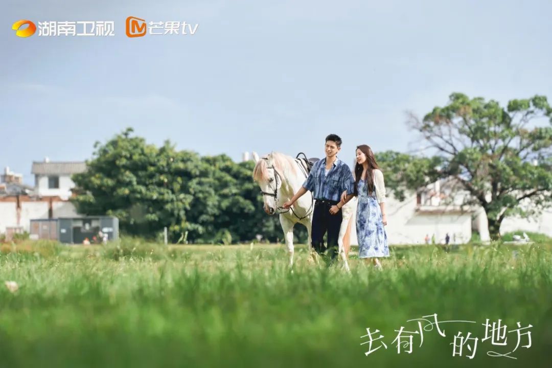 上海武康路郁金香陷&ldquo;诈骗门&rdquo;？城市营销别太离谱了