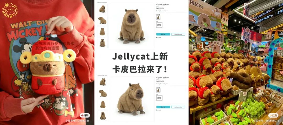 &ldquo;豚门永存&rdquo;！躺平佛系的动物IP火了，网梗如何变成&ldquo;真金白银&rdquo;？| 雷报