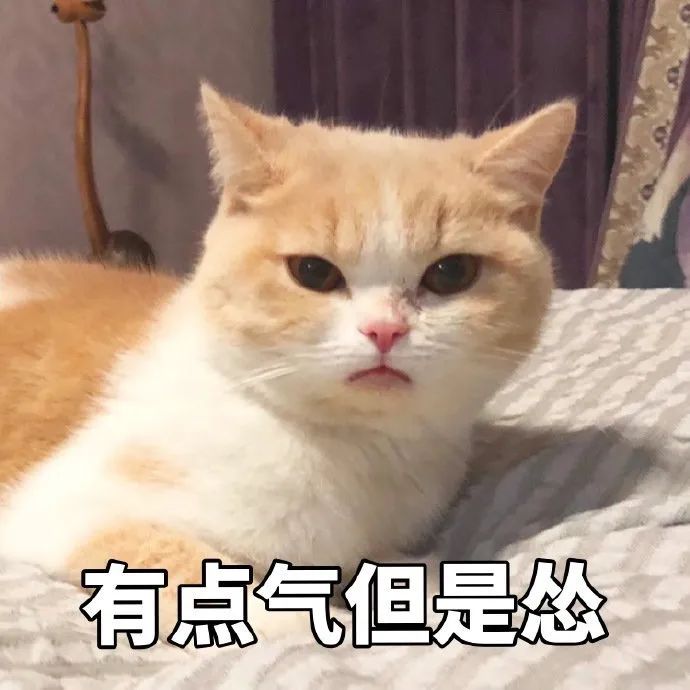 没有人生规划的,一定要看看
