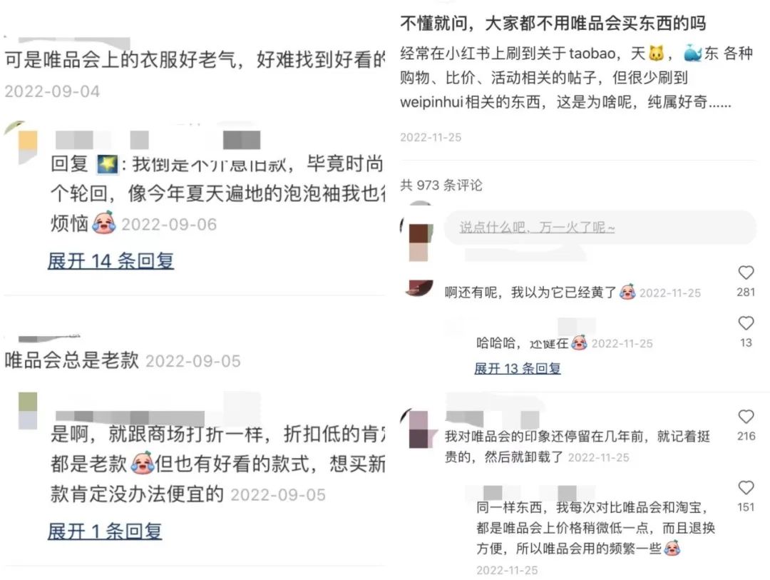 这个春节，谁在唯品会上买年货？