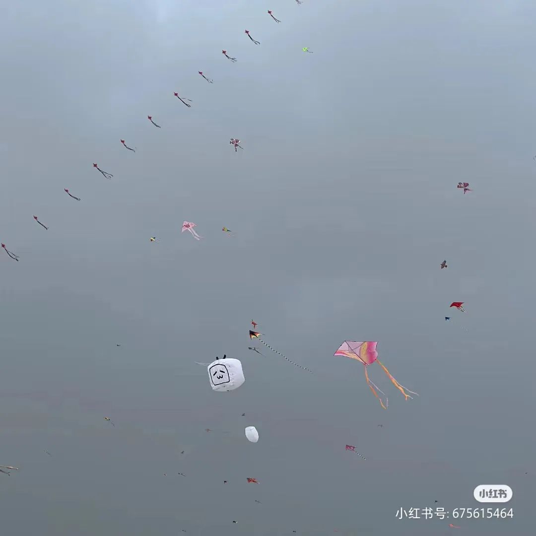 除了秦始皇变形计，雪王和天猫也被潍坊放了风筝